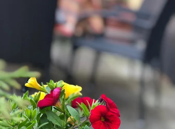 Penzion Gaestehaus Eberlein Rothenburg ob der Tauber