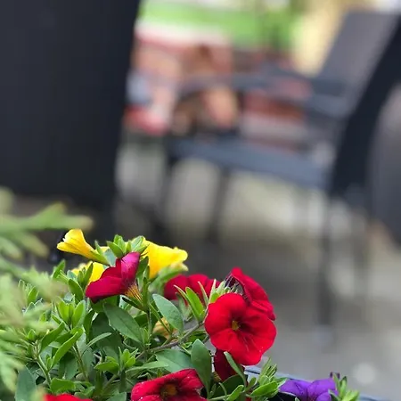 Gasthuis Gaestehaus Eberlein Rothenburg ob der Tauber