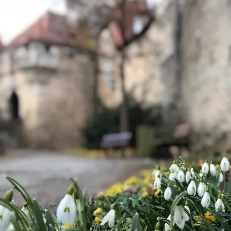 بيت ضيافة Gaestehaus Eberlein 2*